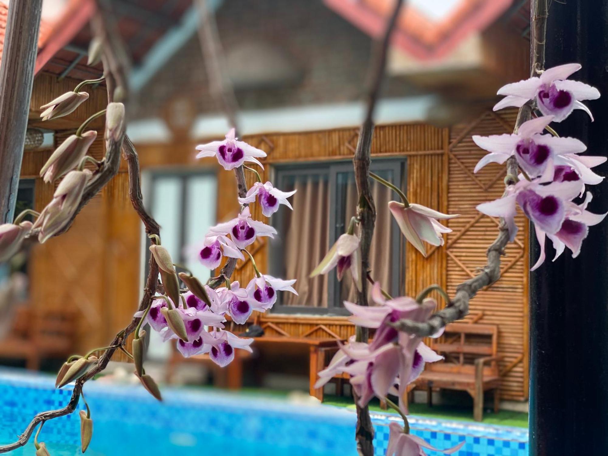 Tam Coc Charming Bungalow Ninh Bình Ngoại thất bức ảnh