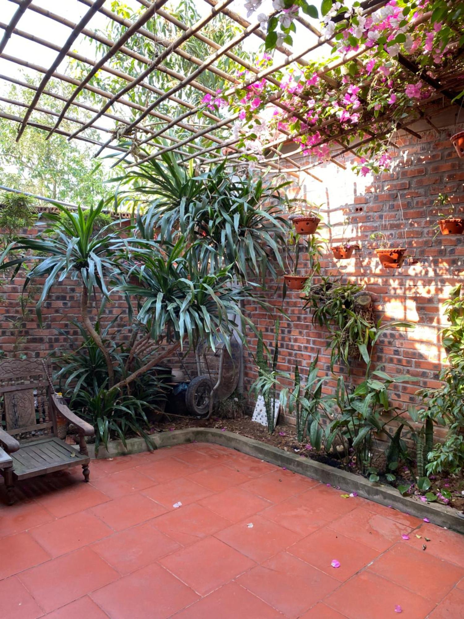 Tam Coc Charming Bungalow Ninh Bình Ngoại thất bức ảnh
